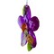 Crystal Expressions 3.0 Inch Daisy Flower With Friend Ornament Spring Tree Ornament , Summer Spring Suncatcher